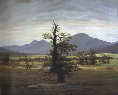 Caspar David Friedrich Landscape with Solitary Tree (mk10) china oil painting image